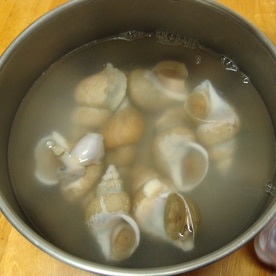 白バイ貝の煮付け レシピ 作り方 By 家飲み親父 楽天レシピ 白バイ貝の煮付け レシピ 作り方 By 家飲み親父 楽天レシピ
